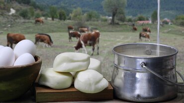 Imagen para la categoria Productores de Queso y Lácteos en Tamarindo