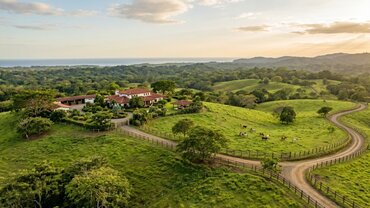 Finca o Hacienda